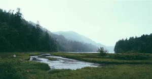 Neuroplasticidade: Como a Ciência Comprova a Renovação da Mente Descrita na Bíblia