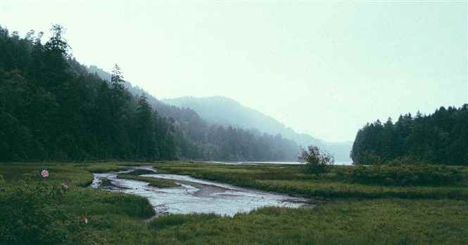 Neuroplasticidade: Como a Ciência Comprova a Renovação da Mente Descrita na Bíblia